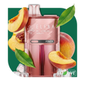 ELFBAR BC 20000 PEACH PLUS 5%